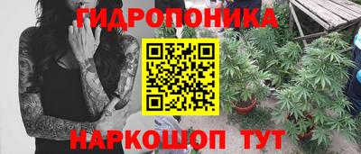 дживик Будённовск