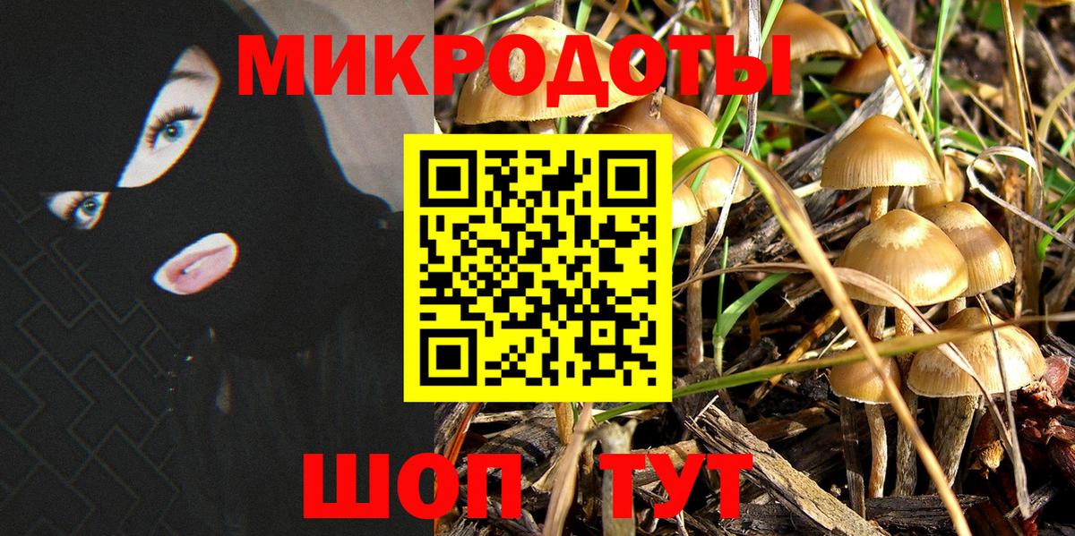 Псилоцибиновые грибы Magic Shrooms Междуреченск